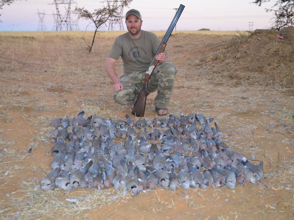 Dove Hunting Outfitter South Africa.jpg